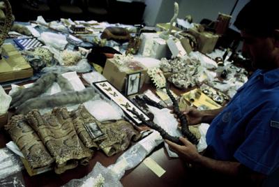 Wwf all'Oms: stop definitivo ai mercati di animali selvatici