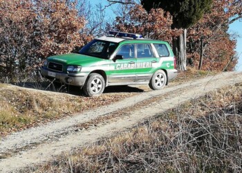 Covid, lontana da casa, multata 6 volte