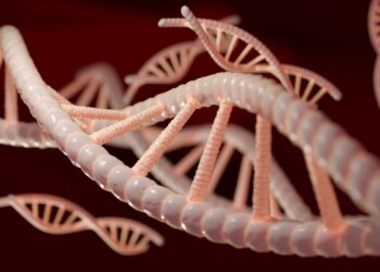 Craccato il codice genetico umano, dà proteine mai viste