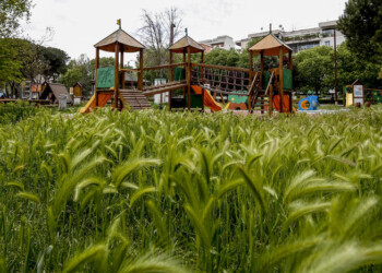 Fase 2: M5S, trovare soluzioni per bambini e ragazzi