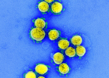 Il coronavirus muta poco, più facile trovare farmaci e vaccini