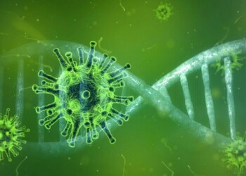 Il coronavirus potrebbe aver circolato negli umani per anni