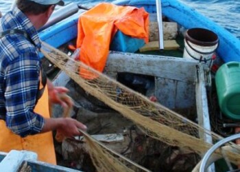 Coronavirus: Fleres – Filiera della pesca comparto in crisi dimenticato dal governo