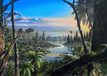 In Antartide i resti fossili di una foresta pluviale