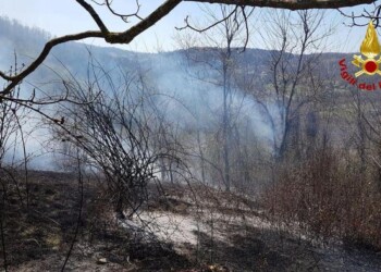 Incendio nei boschi nel Bolognese, circa 10 ettari in fumo