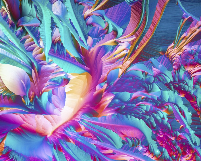 La natura è fluo nelle più belle immagini al microscopio – GUARDA