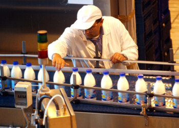 Latte, caseifici assorbiranno surplus