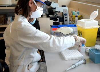 Marche,96 positivi in 24 ore su 662 test