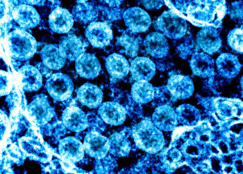 Nascerà in Italia la Biobanca del coronavirus