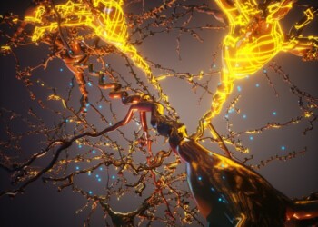 Neuroni con la corazza contro sclerosi multipla e autismo