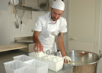 Pastore mantiene promessa, incasso ad Asl