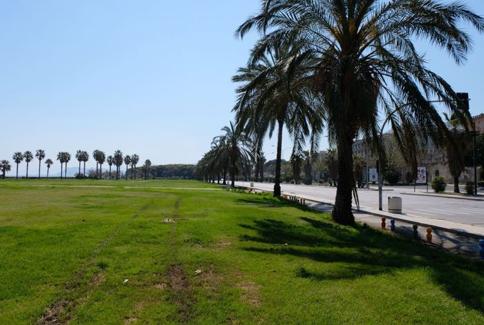 Pd-M5S a Conte, decreto per i bambini