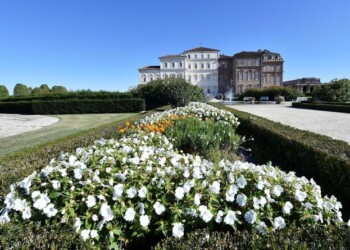 Reggia Venaria e teatri, facciamo luce tutti insieme