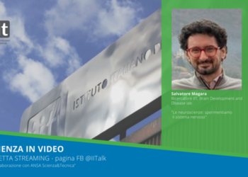 #scienzainvideo – Le Neuroscienze: sperimentiamo il sistema nervoso