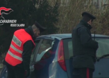 Serra con 600 piantine droga, un arresto