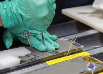 Studio: “Tra pianure abissali e montagne sottomarine l’origine dei terremoti silenti”  