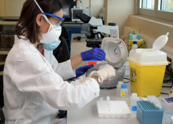 Toscana, 4.873 tamponi rsa, 667 positivi