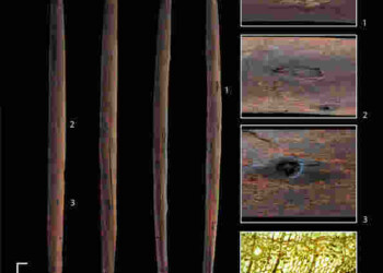 Un arsenale di armi da caccia di 300.000 anni fa
