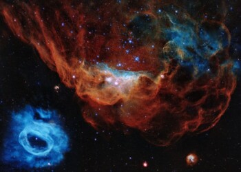 Un corallo cosmico per i 30 anni del telescopio Hubble DIRETTA ALLE 16,30