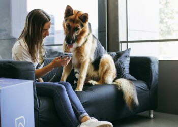 Su le zampe, a tutto orecchie, la playlist è canina!