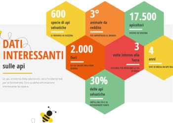 Giornata Mondiale delle Api: cambiare prospettiva per proteggerle
