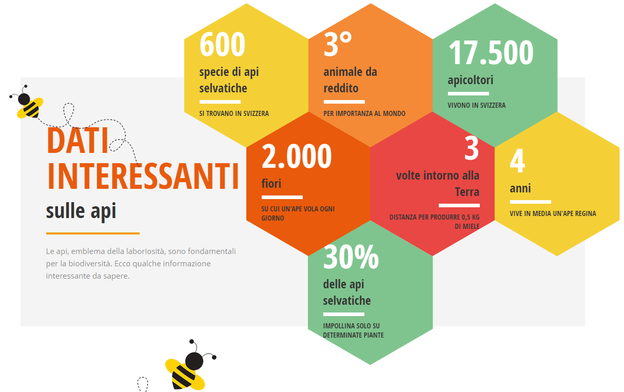 Giornata Mondiale delle Api: cambiare prospettiva per proteggerle