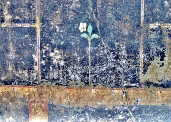 A Pompei il mistero della piccola Mummia