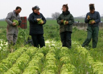 Abbiamo regolarizzato i migranti (ma non tutti): comunque vada sarà un insuccesso