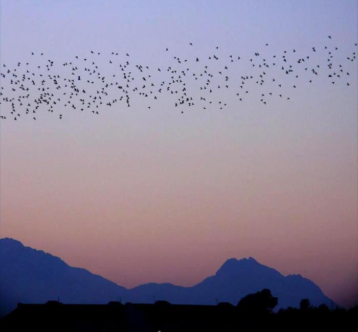 #Abruzzoacasatua con gli occhi di un fotografo naturalista