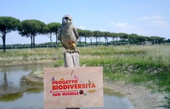 Agricoltura: nei campi NaturaSì oltre 3600 ettari dedicati a tutela biodiversità  