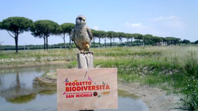 Agricoltura: nei campi NaturaSì oltre 3600 ettari dedicati a tutela biodiversità  