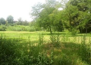 Agriturismo, ‘tremila euro per adeguamento strutture’