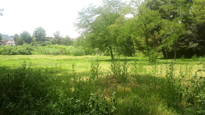 Agriturismo, ‘tremila euro per adeguamento strutture’