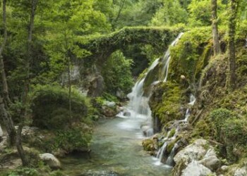 Ambiente: prima edizione della ‘Settimana della natura’ dal 18 al 24 maggio  