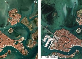 Ambiente: studio, effetto lockdown sulla trasparenza delle acque di Venezia 