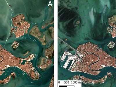 Effetto lockdown sulla trasparenza delle acque di Venezia