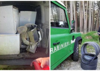 Ambiente:trasportavano rifiuti in area Parco Sila,denunciati