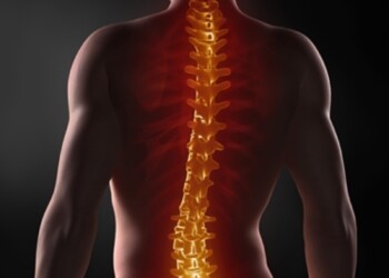 Struttura portante del nostro corpo, la Colonna Vertebrale