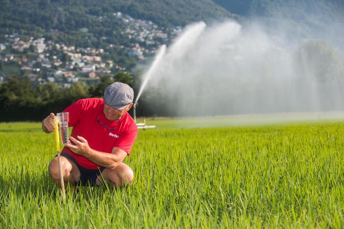 Coronavirus: Bmti, mercato del riso in aumento, vola in Gdo