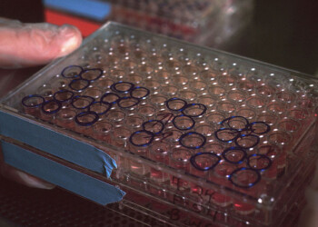Coronavirus, gli anticorpi monoclonali la nuova arma