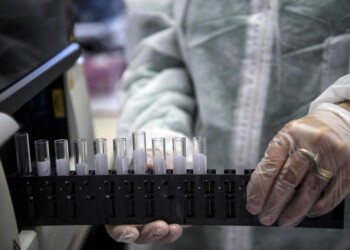 Coronavirus: in Basilicata nessun nuovo contagio