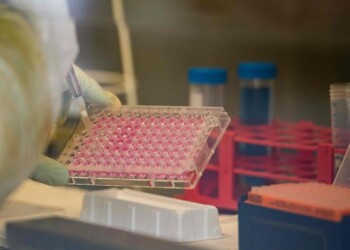 Coronavirus: in Basilicata tre positivi su 483 tamponi