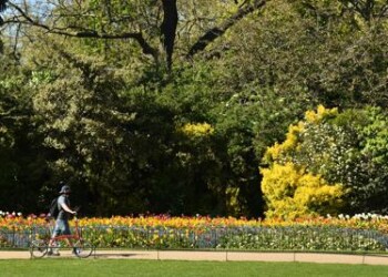 Coronavirus: Manomano.it, per l’estate brevi soggiorni nella natura 