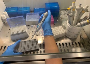 Coronavirus: nessun decesso in Trentino, ma due nuovi casi