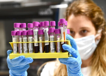 Coronavirus: nessun nuovo caso positivo Vda, Rt allo 0.8