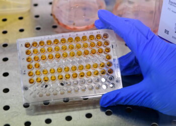Coronavirus: quattro casi positivi in più in Valle d’Aosta
