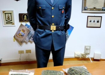 Droga: doppio blitz Gdf, 1,7 kg marijuana