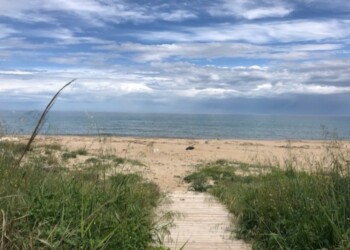 Dune a nord Termoli meta di intenso fenomeno migratorio