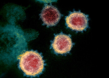 Fase 2, Accademia dei Lincei: l’obiettivo è ridurre le ondate epidemiche