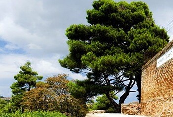 Fase 2, il 4 maggio riapre Colle dell’Infinito